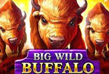 Big Wild Buffalo slot